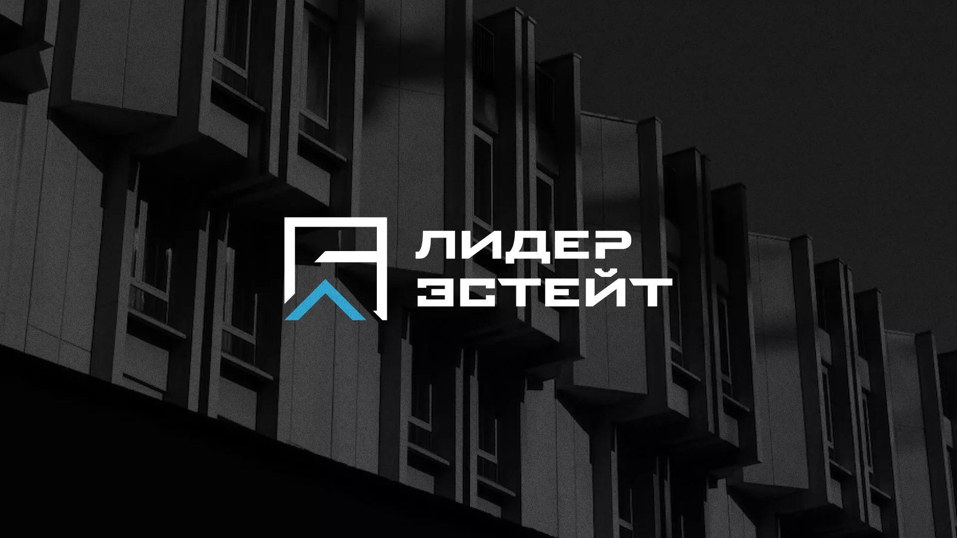 Разработка логотипа агентства недвижимости «Лидер Эстейт» в Сосенском